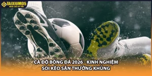 Cá Độ Bóng Đá 2026 - Kinh Nghiệm Soi Kèo Săn Thưởng Khủng