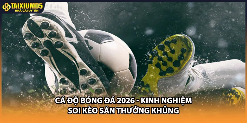Cá Độ Bóng Đá 2026 - Kinh Nghiệm Soi Kèo Săn Thưởng Khủng