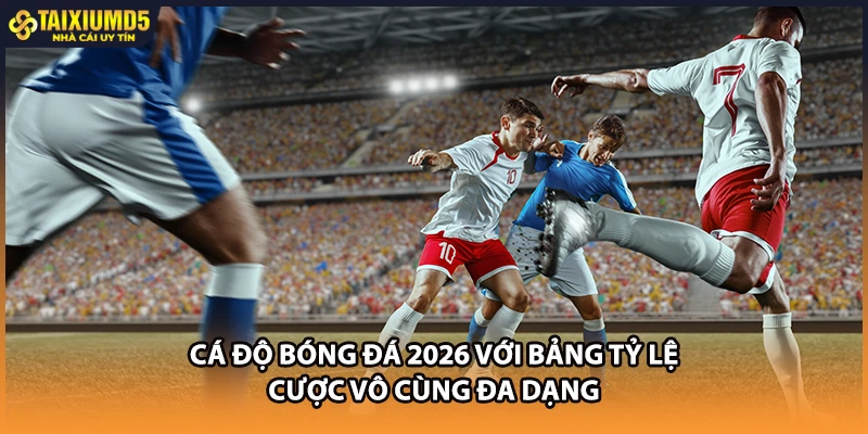 Cá độ bóng đá 2026 với bảng tỷ lệ cược vô cùng đa dạng 