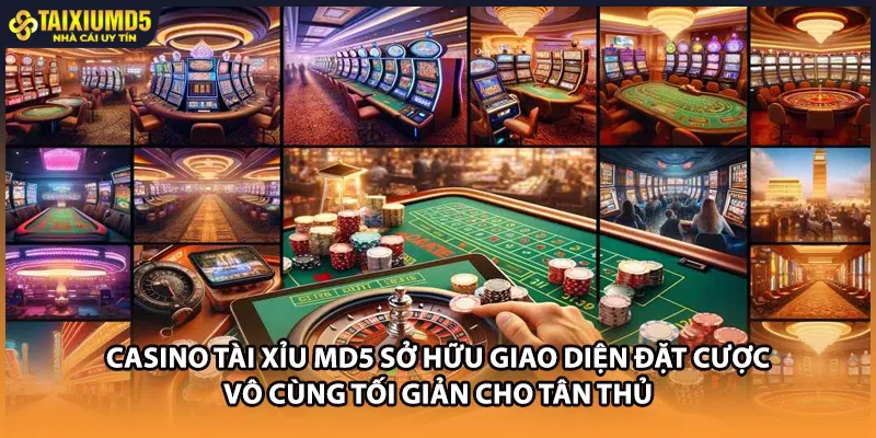 Casino Tài xỉu MD5 sở hữu giao diện đặt cược vô cùng tối giản cho tân thủ