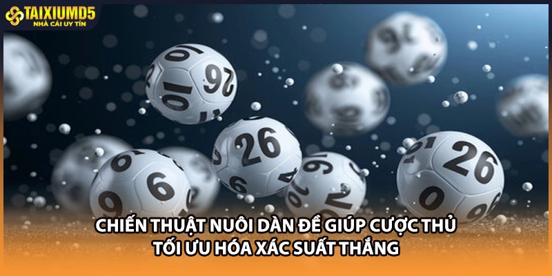 Chiến thuật nuôi dàn đề giúp cược thủ tối ưu hóa xác suất thắng