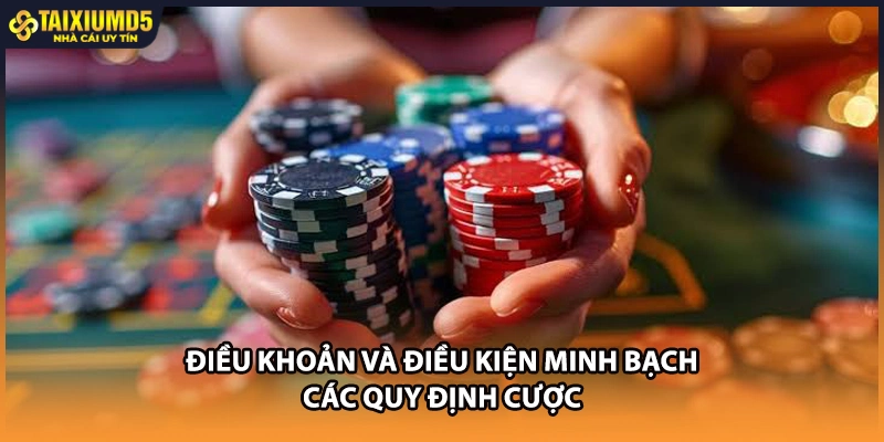 Điều khoản và điều kiện minh bạch các quy định cược