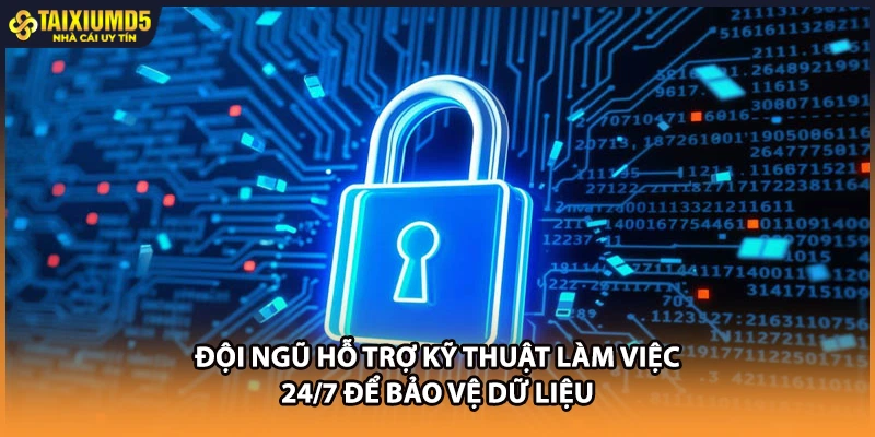 Đội ngũ hỗ trợ kỹ thuật làm việc 24/7 để bảo vệ dữ liệu