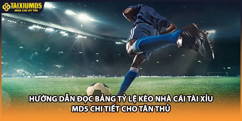 Hướng dẫn đọc bảng tỷ lệ kèo nhà cái Tài xỉu MD5 chi tiết cho tân thủ
