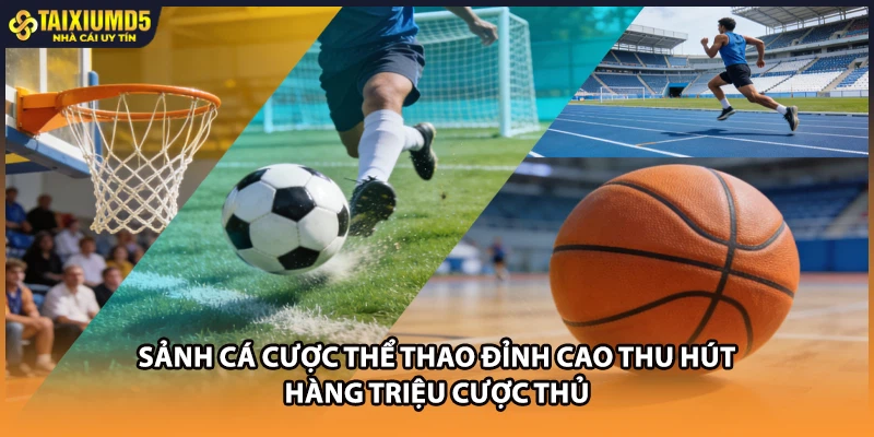Sảnh cá cược thể thao đỉnh cao thu hút hàng triệu cược thủ