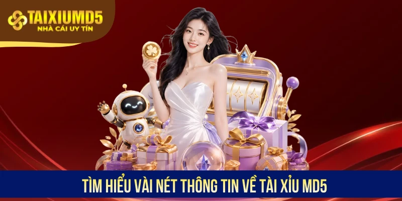 Tìm hiểu vài nét thông tin về Tài Xỉu MD5