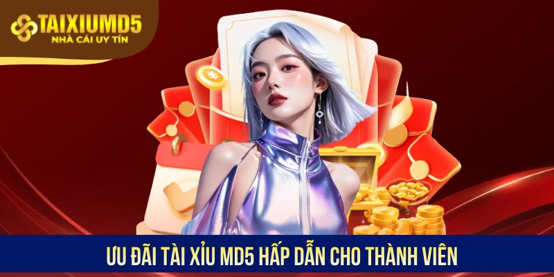 Ưu đãi Tài Xỉu MD5 hấp dẫn cho thành viên